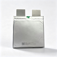 Batterie Tuk Tuk 20Ah 3.2V LiFePO4 Pouch Max 400A Faible IR 4000 Cycles Longue Portée pour Remplacement de Rickshaw