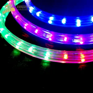 Wholesale Custom Holiday Decoration Outdoor IP65 Waterproof LED Rope Light