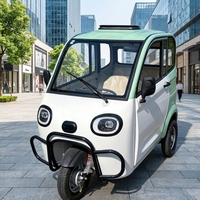 Triciclo Eléctrico Totalmente Cerrado para Uso Doméstico, Vehículo de Nueva Energía Pequeño para Mujeres con Techo, Ideal para el Transporte Diario de Ancianos
