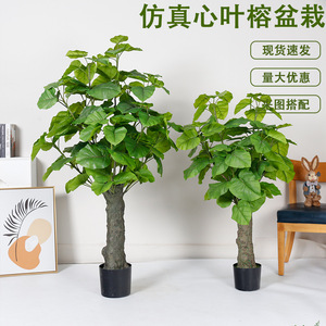 Ficus artificiel Dream Castle Heartleaf Bonsai 120cm-160cm, plante décorative d'intérieur et d'extérieur, arbre en plastique PE - Product Image 5