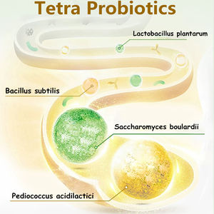 पालतू प्रोबायोटिक पाउडर पालतू जानवरों में दस्त और ढीले मल सुधार करता है - Product Image 4
