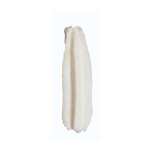 Ugelli a stella da 12 mm per decorazioni di torte - Product Image 2