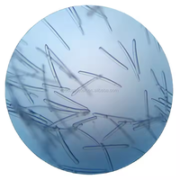 Muestra Gratuita Cosmo Biotech, Extracto Herbal 100% Natural, Esponja de Algas Silvestres Liofilizadas, Espículas de Algas para Biomicroneedling
