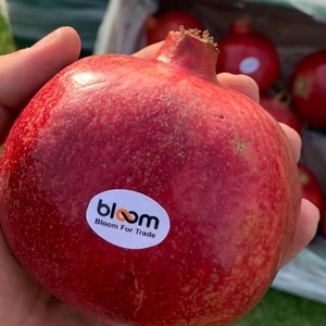 pomegranate fresh