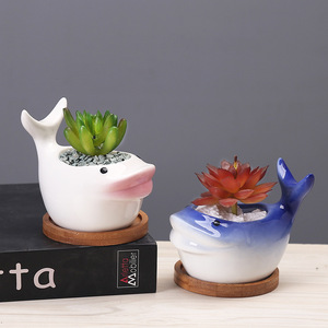 Design moderne transfrontalier pour <span class=keywords><strong>Amazon</strong></span> <span class=keywords><strong>Pot</strong></span> <span class=keywords><strong>de</strong></span> <span class=keywords><strong>fleur</strong></span> charnu intérieur série océan dessin animé <span class=keywords><strong>Pot</strong></span> <span class=keywords><strong>de</strong></span> plante en céramique approvisionnement créatif - Product Image 1