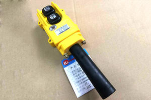 Interrupteur à bouton étanche série COB avec grue d'arrêt d'urgence fourni par le fabricant - Product Image 4