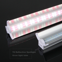 Système hydroponique Microgreen 4x4ft Stripe T5 36 w Tube à spectre complet ferme verticale 36 watt Led élèvent la lumière