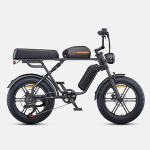 Vélo électrique rétro vintage pour adultes, nouveau design EU, moteur arrière 250W, double batterie lithium 28,6Ah, pneus larges 20 pouces, vélo de ville électrique. - Product Image 1