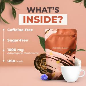 SUPERFOODS Chicorée aux champignons avec 6 champignons adaptogènes organiques <span class=keywords><strong>Café</strong></span> Keto <span class=keywords><strong>décaféiné</strong></span> avec racine de chicorée pour la digestion énergétique Focus - Product Image 6