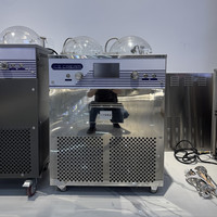 Congélateur automatique à lots en acier inoxydable, machine à fabriquer des glaces italiennes, des glaces dures