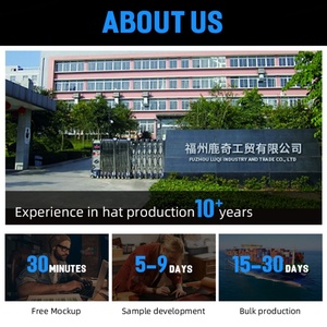 Casquette de baseball en coton à 6 panneaux avec logo personnalisé, chapeau pare-soleil brodé en 3D, vente en gros, pour femmes - Product Image 6