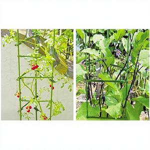 OEM ODM Venta al por mayor Ecológico Color personalizado Estructura de soporte para tomate, Valla, Puerta y Enrejado de jardín con acabado de recubrimiento en polvo - Product Image 1