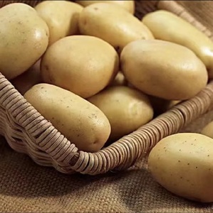 <span class=keywords><strong>Pomme</strong></span> <span class=keywords><strong>de</strong></span> <span class=keywords><strong>terre</strong></span> cultivée naturelle 100% biologique <span class=keywords><strong>de</strong></span> meilleure qualité à <span class=keywords><strong>prix</strong></span> compétitif <span class=keywords><strong>de</strong></span> Chine <span class=keywords><strong>prix</strong></span> d'usine <span class=keywords><strong>de</strong></span> gros - Product Image 2