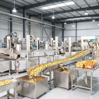 Línea de Producción de Papas Fritas de Última Generación 2026: Solución de Fritura con Bajo Consumo de Aceite para la Fabricación de Snacks Saludables