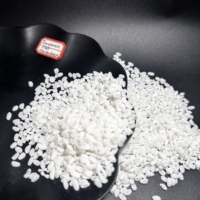 Masterbatch de remplissage en carbonate de calcium (CaCO3) pour PP, PE, HDPE, LDPE – Réduit les coûts de production, bonne dispersion