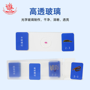 10-<b>slide</b> insect microscopic specimen <b>slides</b>, made of high-transparency glass for popular science, featuring <b>small</b> insects. - Product Image 2