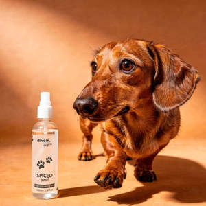 Profumo Spray Divain Spiced Soul 100ml per Animali Domestici - Product Image 3