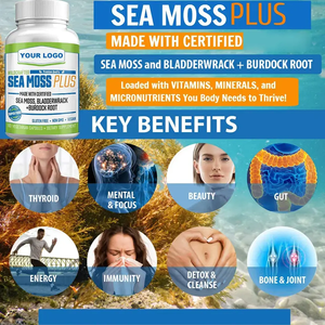 OEM/ODM Organic <b>Sea</b> <b>Moss</b> <b>Capsules</b> Vegan Irish <b>Sea</b> <b>Moss</b> Extract <b>Capsules</b> for Immune & Joint Health - Product Image 2