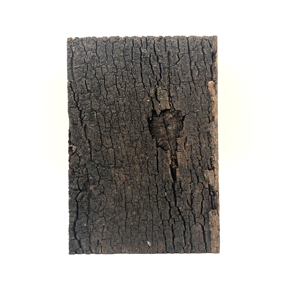 LEECORK Natürliche jungfräuliche Korkenrinde 450 × 600 × 20 mm Eidechsen-Habitat Terrarien Deco Reptilien-<span class=keywords><strong>Terrarium</strong></span> Hintergrund