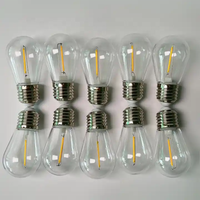3V 12V 110V 220V 1W 2W 4W incassable éclairage de vacances S14 extérieur guirlandes lumineuses Edison Led ampoules