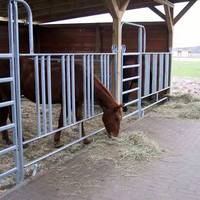 Panneau de clôture de bétail mobile pratique de 5 pieds * 10 pieds, utilisé pour les hippodromes et les hippodromes