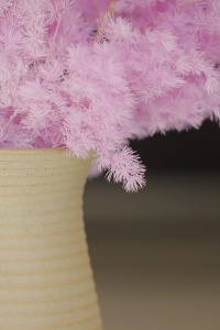 Moon Yu เฟิร์นหน่อไม้ฝรั่งที่เก็บรักษาไว้ได้นานธรรมชาติ - Product Image 5