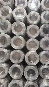 Alambre de Acero Galvanizado por Inmersión en Caliente de Alta Resistencia a la Tracción de 2 mm, Calibre 24, Malla de Alambre Galvanizado - Product Image 5