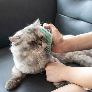Cat Silicone <b>Brush</b> For Desk Leg Massage Grooming Tool For Cats Soft Bristles <b>Pet</b> Grooming Product - Product Image 2