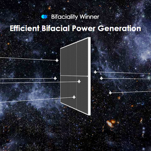 Module Solaire Bifacial 3.0 66 QL6-BDV 650-670 Watt Demi-Cellule Double Verre 650w 655w 660w 665w 670w - Product Image 4