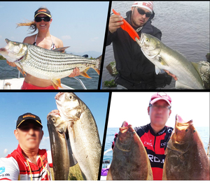 Meilleure vente <span class=keywords><strong>moulinet</strong></span> de pêche Nylon 5 + 1BB roulements 9 kg Max glisser <span class=keywords><strong>leurre</strong></span> <span class=keywords><strong>moulinet</strong></span> de pêche roue tournante moulinets d'eau douce pêche - Product Image 5