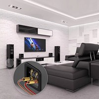 Connecteur de câble audio Rasantek plaqué or 24 carats en cuivre pur, type banane mâle, sans soudure, à vis, pour amplificateur