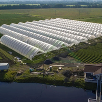 Grote enkellaagse multi-span PE polyfolie kasconstructie voor de productie van hoogproductieve groenten en bessen