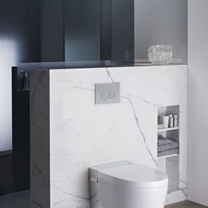 Plaque de chasse d'eau <span class=keywords><strong>WC</strong></span> murale à <span class=keywords><strong>double</strong></span> <span class=keywords><strong>bouton</strong></span> pour réservoir encastré - Product Image 1