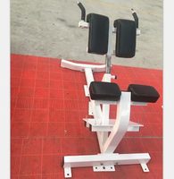 Station d'hyperextension dorsale professionnelle SK-HM39, Chaise romaine, Banc d'hyperextension pour centres de fitness, hôtels, studios et clubs