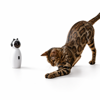 Juguete Láser Inteligente para Gatos, Robot Interactivo Automático, Juguete para Gatitos, Recargable por USB, Diseño de Astronauta, Venta al Por Mayor OEM