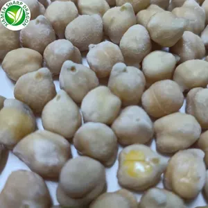 Organic Fresh Healthy Natural Freezing Frozen Chickpeas Chick Peas Garbanzo Beans Freeze In-stock IQF Bulk Wholesale Price