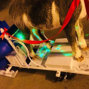 Neige <span class=keywords><strong>Glace</strong></span> Cerf orignal tirant un traîneau à neige - Product Image 4