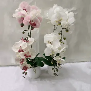 도매 공장 가격 가짜 꽃 인공 Phalaenopsis 난초 진짜 터치 나비 난초 냄비