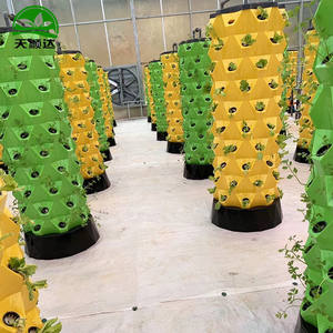 8-שכבת abs אוטומטית מגדל אננס השקיית בית מגדל אננס דק הבית משאבת ליבה חקלאי מערכת משאבת מים הידרופוניקה - Product Image 6