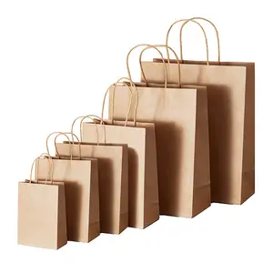 Recycled Biodegradable Retail Grocery Shopping Packaging Custom Made Fast Food Take Away Clothes Packaging Kraft Paper Bag 21cm