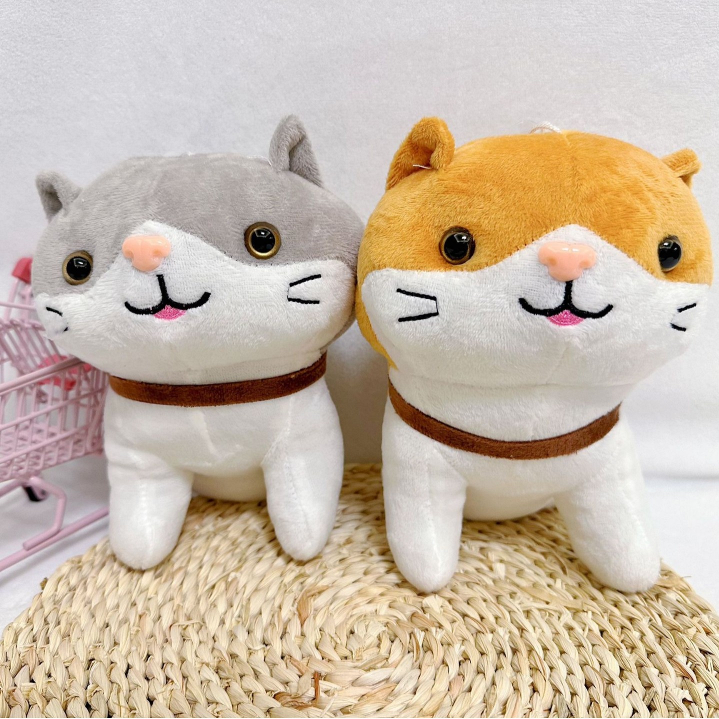 Collar para gato