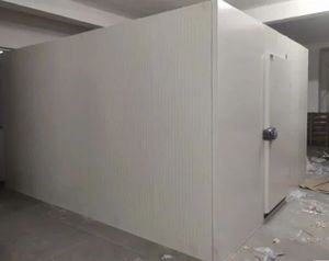 Chambre froide modulaire à panneaux isolés avec panneau de commande pour l'industrie alimentaire, pharmaceutique et l'entreposage - Product Image 2