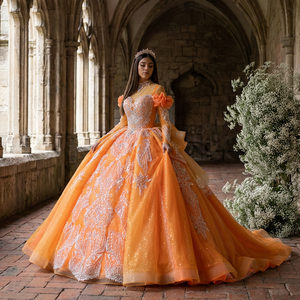 Elegante Vestido de Novia Moderno con Cuentas, Estilo Princesa, Escote Corazón, Manga Larga, Cola Capilla, Largo hasta el Suelo, Sin Espalda Xs096 - Product Image 1