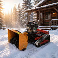 Souffleuse à neige électrique compacte pour un déneigement sans effort des jardins de villas et des places commerciales, avec moteur et roulement à billes