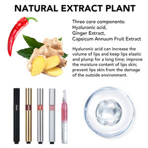 Marca propia Protección solar Labio Hidratante y brillante Lápiz labial potente para rellenar <span class=keywords><strong>labios</strong></span> - Product Image 4