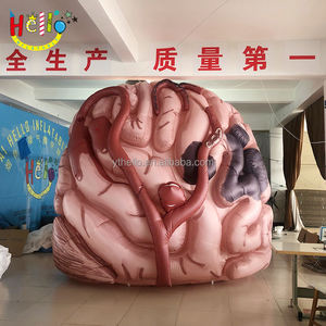 Les événements de soins de santé personnalisés traversent le <span class=keywords><strong>tunnel</strong></span> du cerveau Passage gonflable <span class=keywords><strong>pour</strong></span> l'éducation - Product Image 5