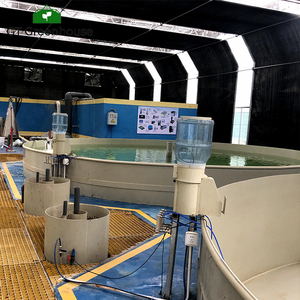 GT acquaponica sistemi di coltivazione pannelli solari serra acquacoltura serra commerciale per i pesci - Product Image 2