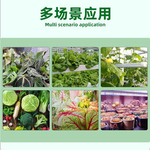 <span class=keywords><strong>Lampe</strong></span> LED à spectre complet <span class=keywords><strong>de</strong></span> type V pour <span class=keywords><strong>culture</strong></span> tissulaire, éclairage supplémentaire haute efficacité pour <span class=keywords><strong>semis</strong></span> et croissance des plantes d'intérieur - Product Image 4