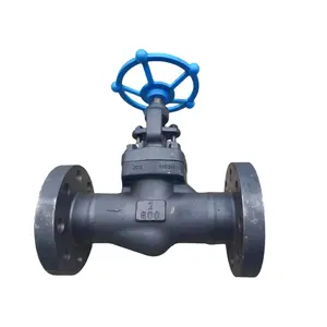 Senyi China Factory American Standard ANSI Cast Steel A105 Globe Valve 800LB