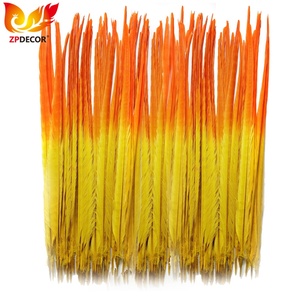 Nhà Cung Cấp Chuyên Nghiệp ZPDECOR Bán Buôn 50-55 Cm Nhuộm Một Nửa Lông Đuôi Gà Lôi Vàng Và Cam - Product Image 1